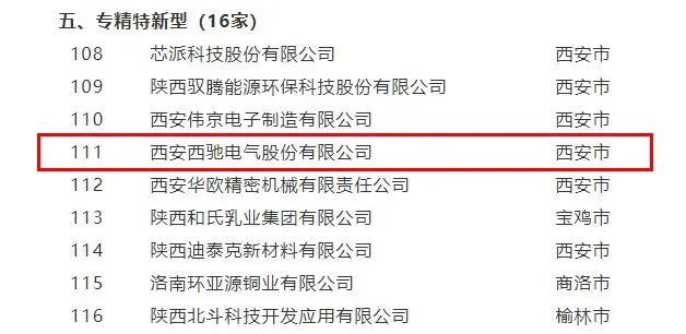 西馳電氣，同時(shí)捧回兩項(xiàng)省級榮譽(yù)(圖2)